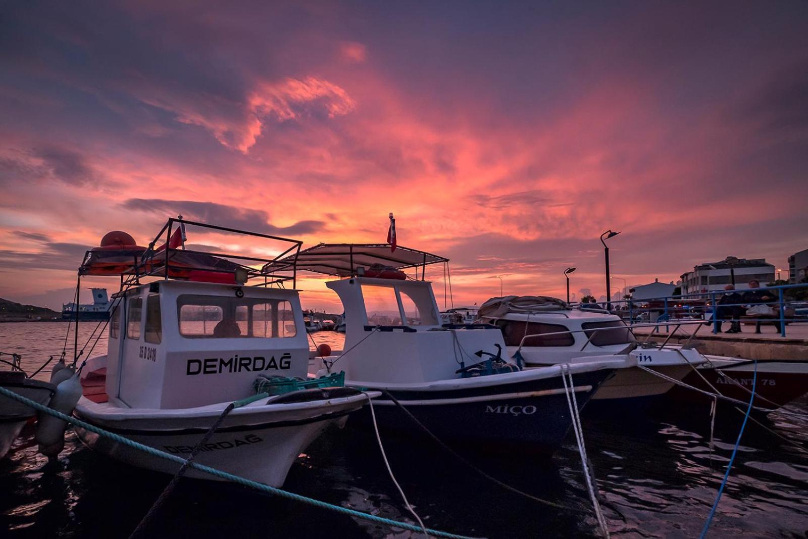 Villa Vongole Çeşme 외부 사진